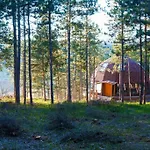 The Forest Sea Dome Varna