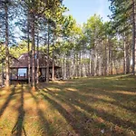 The Forest Sea Dome * Varna