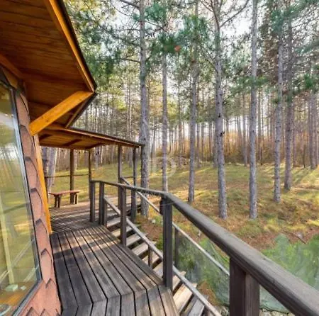 ヴィラ The Forest Sea Dome