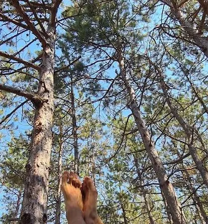 The Forest Sea Dome ヴィラ