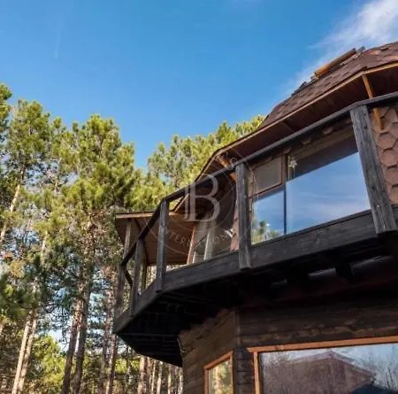 The Forest Sea Dome ヴィラ