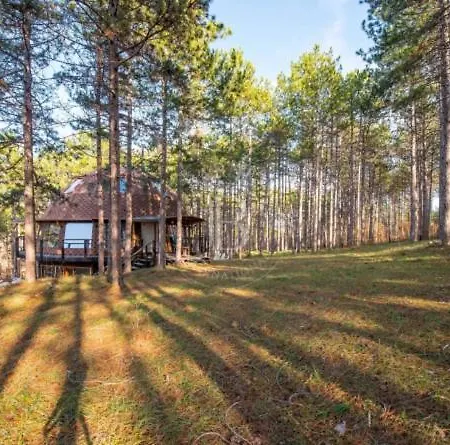 The Forest Sea Dome * ヴァルナ