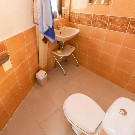 The Forest Sea Dome ヴァルナ