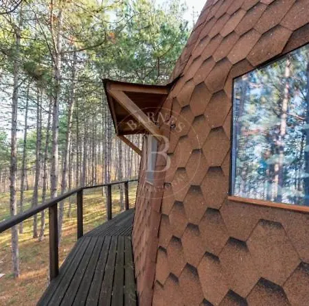 ヴィラ The Forest Sea Dome ヴァルナ