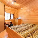 The Forest Sea Dome Warna