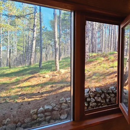 The Forest Sea Dome Villa Warna