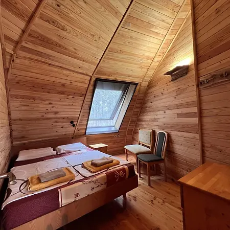 The Forest Sea Dome * Warna