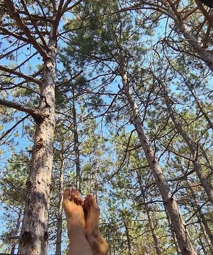 The Forest Sea Dome Villa