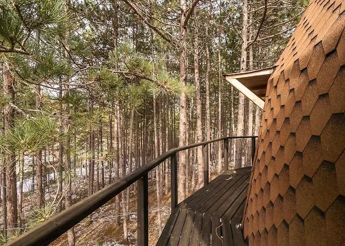 The Forest Sea Dome Villa Warna