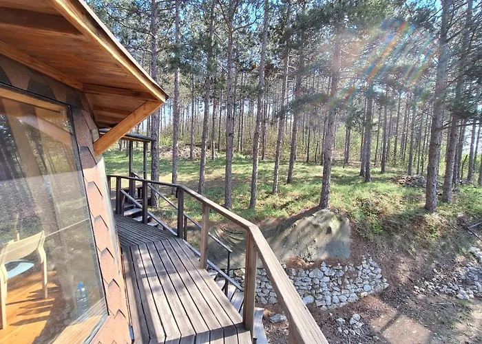 The Forest Sea Dome *