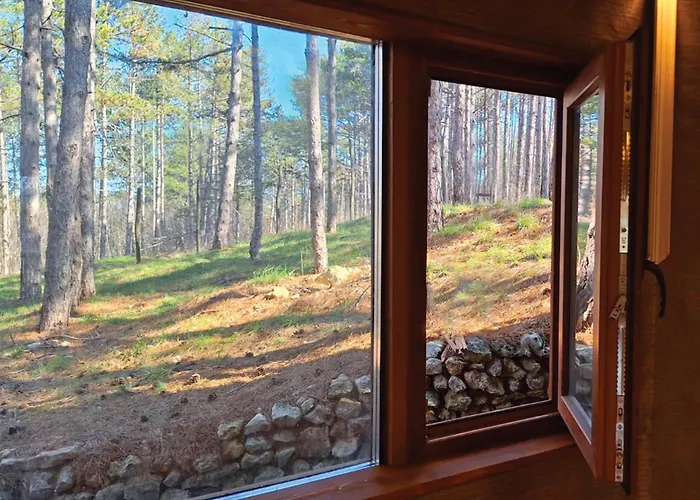 The Forest Sea Dome Villa Warna